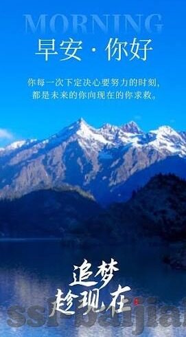 世界杯冰岛队阵型-冰岛队世界杯阵型，稳健与创新的平衡